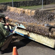 Image for article titled Japanese High School Tsunami Boat Recovered Through Facebook